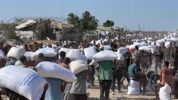 الحصول على كيس الطحين في قطاع غزة مخاطرة يدفعها الجوع قد تنتهي بالموت - سبوتنيك عربي