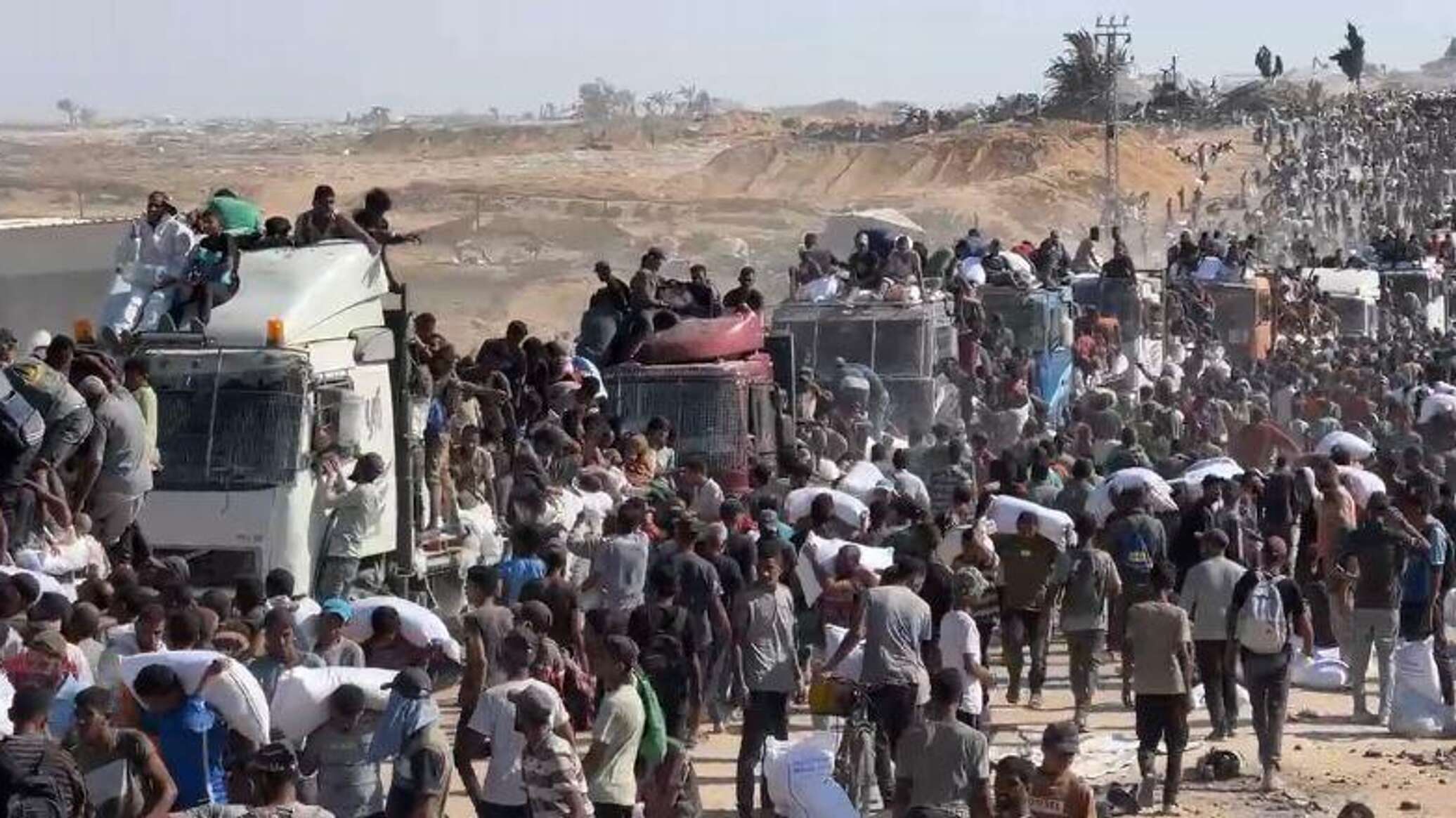 مقتل 36 فلسطينيا بينهم 12 من منتظري المساعدات في غزة