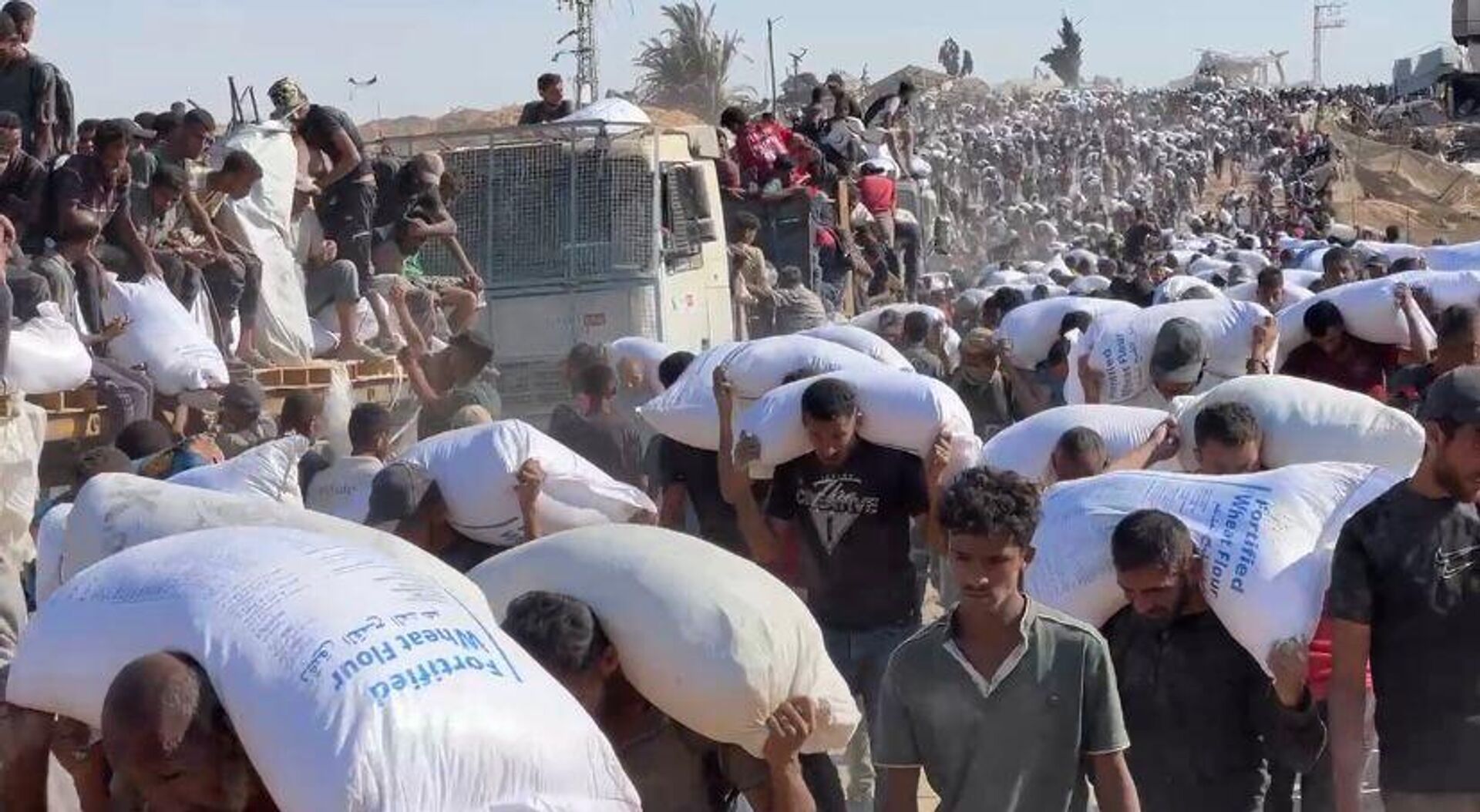 الحصول على كيس الطحين في قطاع غزة مخاطرة يدفعها الجوع قد تنتهي بالموت - سبوتنيك عربي, 1920, 28.07.2025