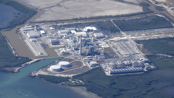 محطة طاقة نووية في تركيا - سبوتنيك عربي