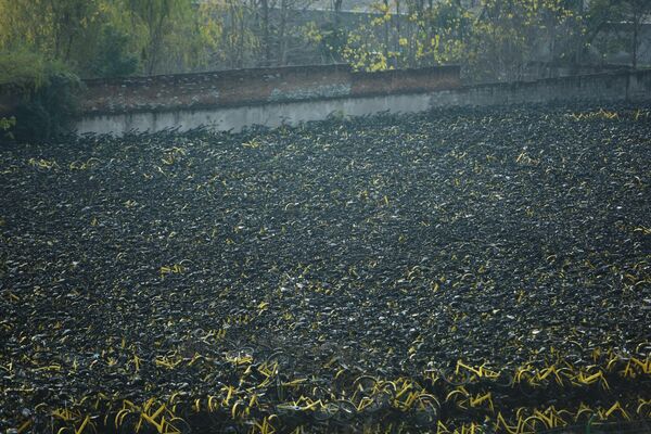 عشرات الآلاف من الدراجات الهوائية الصغيرة في إحدى الساحات القديمة بمدينة هانغتشو، مقاطعة تشجيانغ، الصين. - سبوتنيك عربي