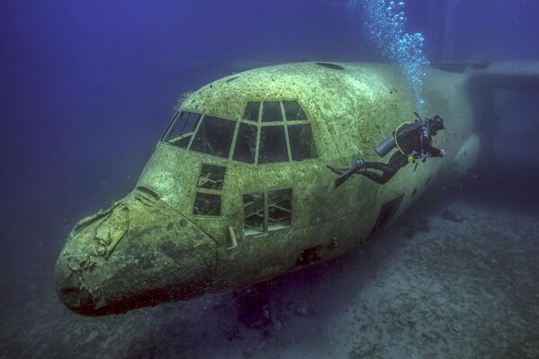 غواص يسبح بالقرب من قمرة قيادة طائرة شحن "سي-130" محطمة في مياه البحر الأحمر قرب العقبة، الأردن. - سبوتنيك عربي