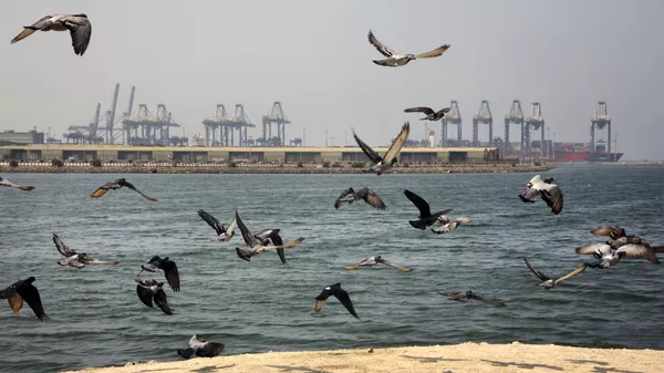 ميناء جدة على البحر الأحمر، المملكة العربية السعودية - سبوتنيك عربي