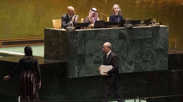  مؤتمر دولي رفيع المستوى للتسوية السلمية لقضية فلسطين وتنفيذ حل الدولتين - سبوتنيك عربي