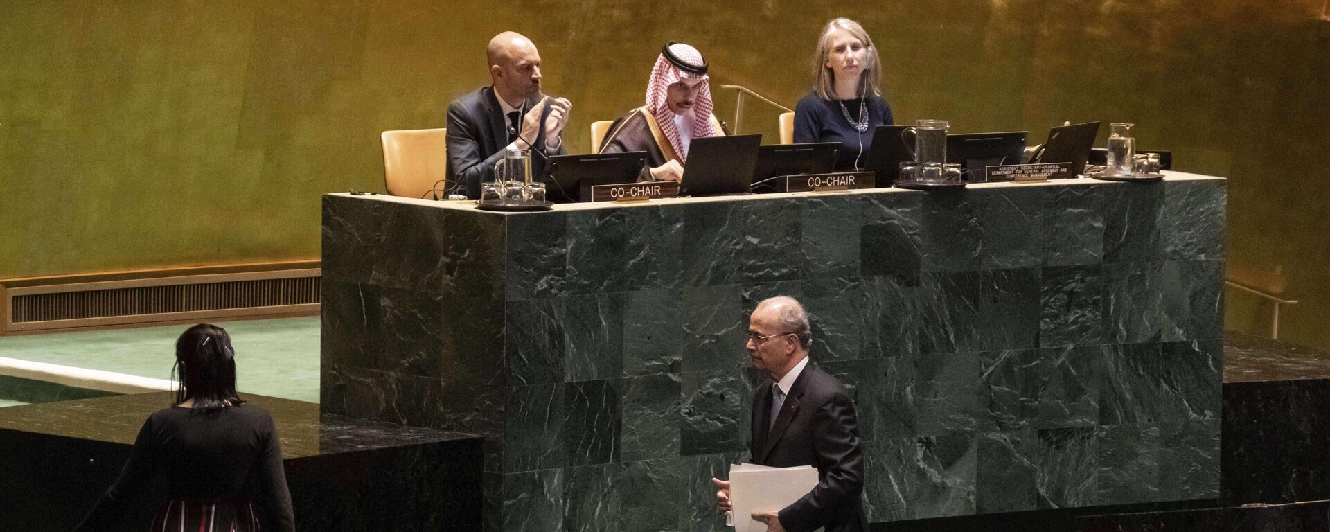  مؤتمر دولي رفيع المستوى للتسوية السلمية لقضية فلسطين وتنفيذ حل الدولتين - سبوتنيك عربي, 1920, 30.07.2025