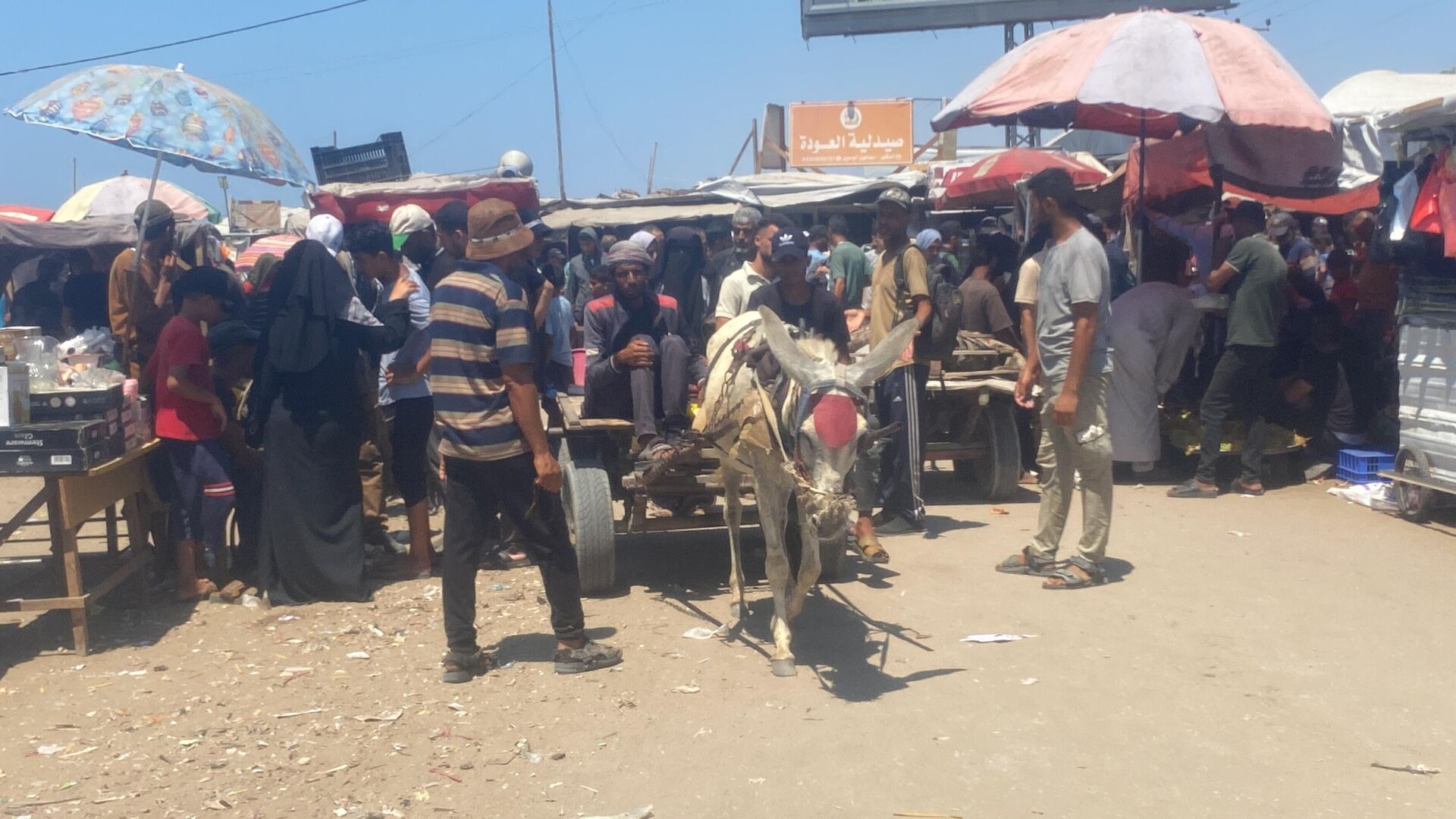 تحت غطاء الرفق بالحيوان... إسرائيل تصادر آخر وسيلة لإسعاف المرضى في غزة تحت غطاء الرفق بالحيوان... إسرائيل تصادر آخر وسيلة لإسعاف المرضى في غزة - سبوتنيك عربي, 1920, 30.07.2025