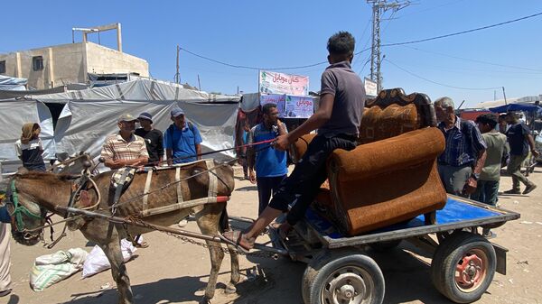 تحت غطاء الرفق بالحيوان... إسرائيل تصادر آخر وسيلة لإسعاف المرضى في غزة - سبوتنيك عربي