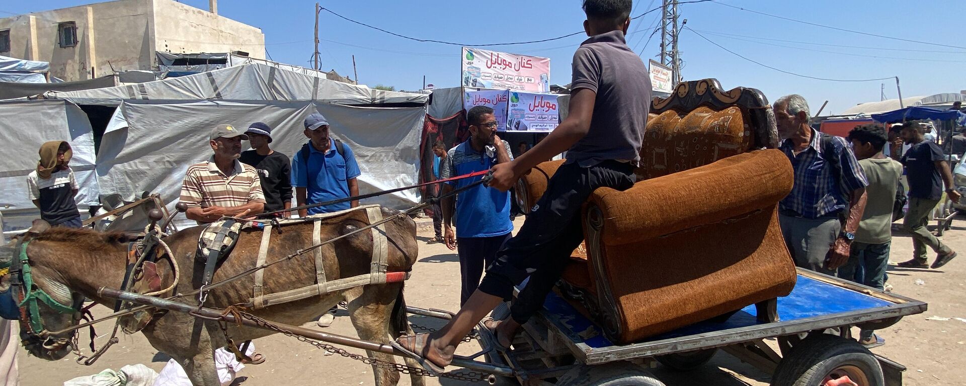 تحت غطاء الرفق بالحيوان... إسرائيل تصادر آخر وسيلة لإسعاف المرضى في غزة - سبوتنيك عربي, 1920, 31.07.2025