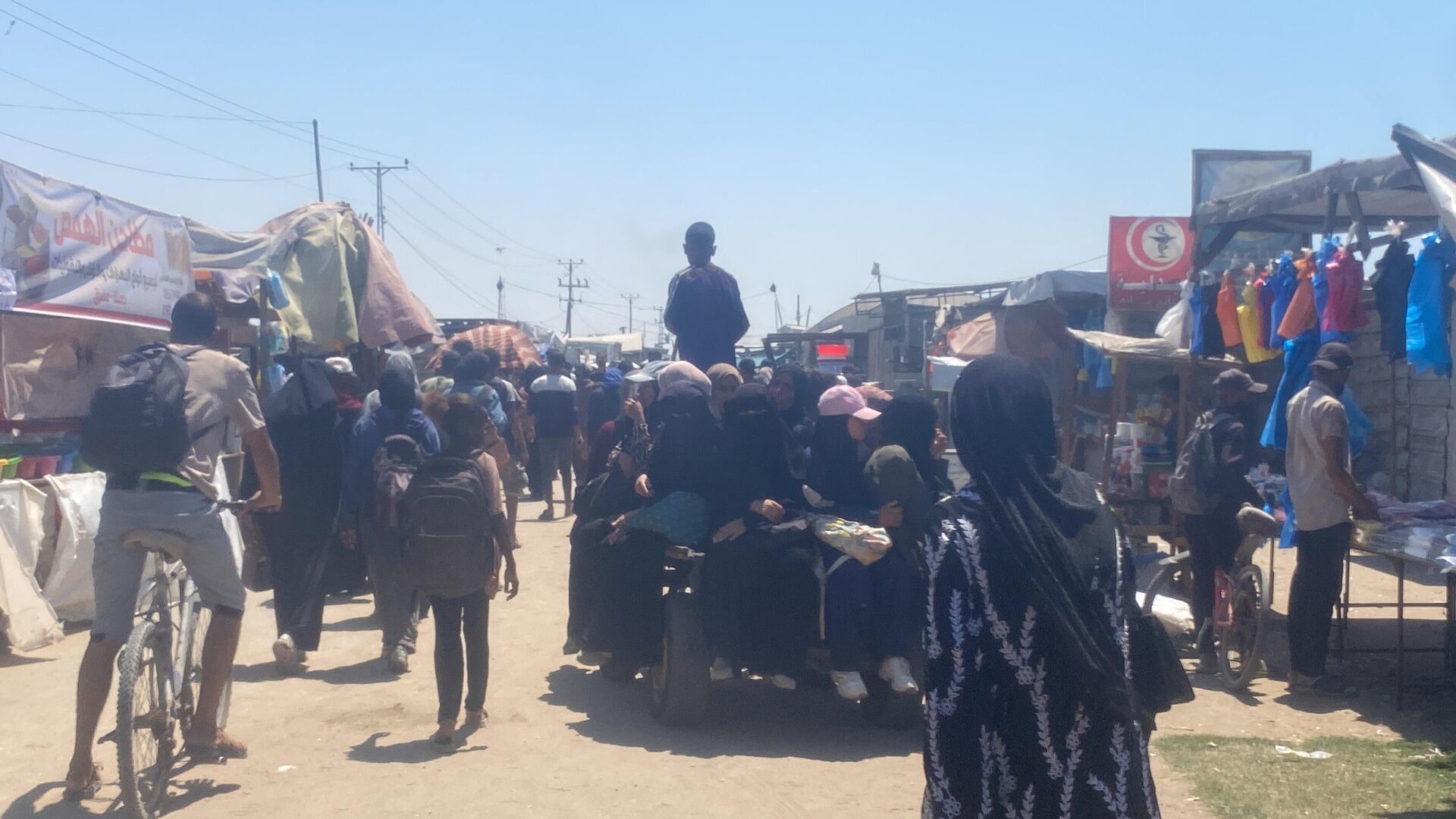 تحت غطاء الرفق بالحيوان... إسرائيل تصادر آخر وسيلة لإسعاف المرضى في غزة تحت غطاء الرفق بالحيوان... إسرائيل تصادر آخر وسيلة لإسعاف المرضى في غزة - سبوتنيك عربي, 1920, 30.07.2025