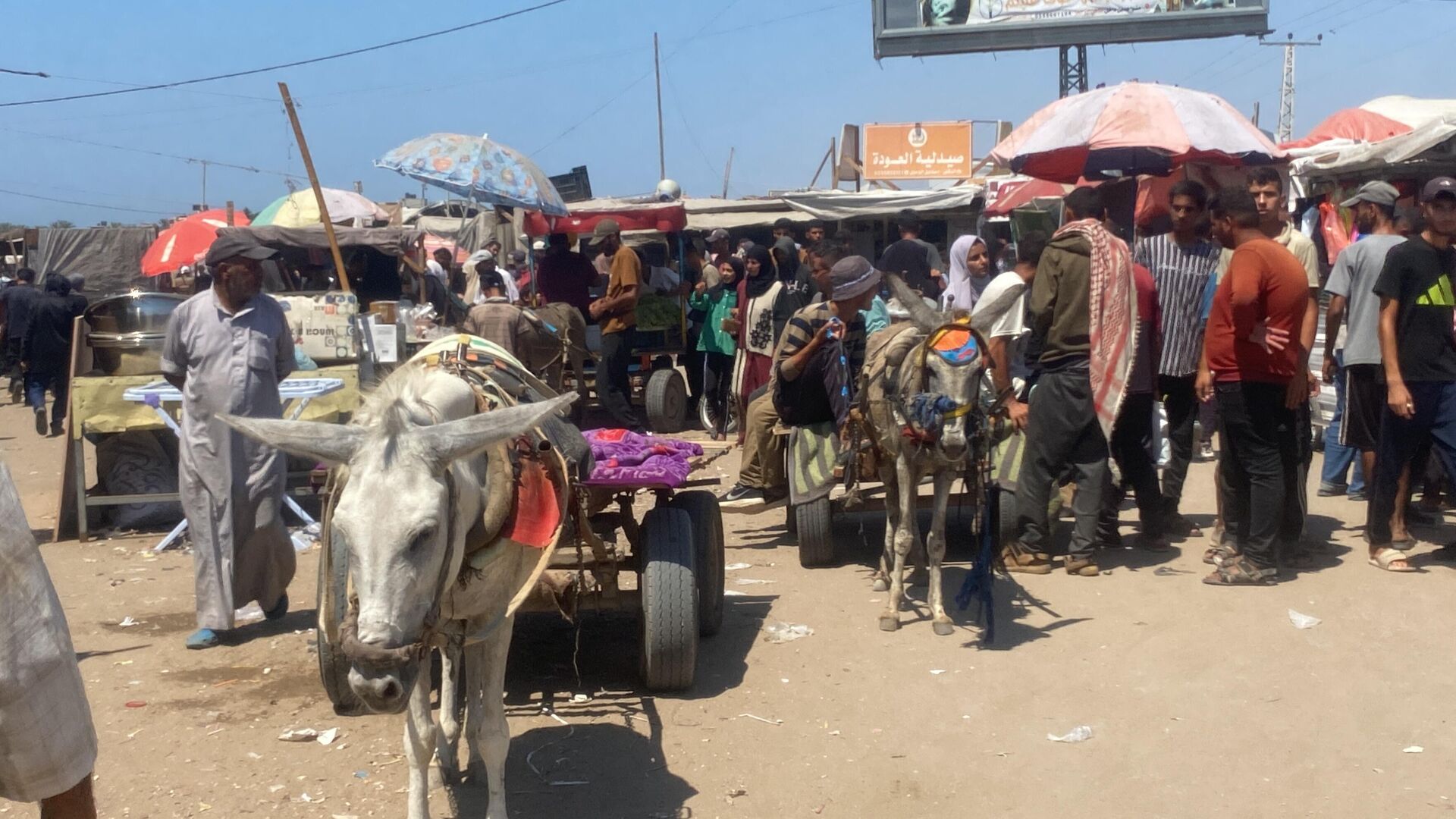 تحت غطاء الرفق بالحيوان... إسرائيل تصادر آخر وسيلة لإسعاف المرضى في غزة تحت غطاء الرفق بالحيوان... إسرائيل تصادر آخر وسيلة لإسعاف المرضى في غزة - سبوتنيك عربي, 1920, 30.07.2025