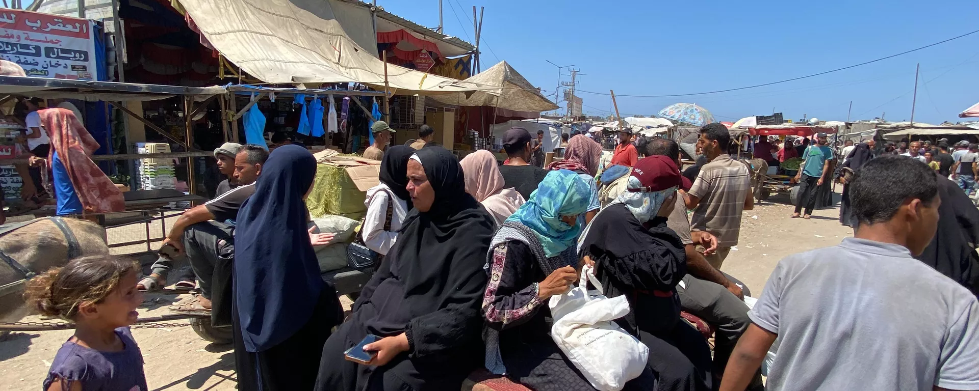 تحت غطاء الرفق بالحيوان... إسرائيل تصادر آخر وسيلة لإسعاف المرضى في غزة - سبوتنيك عربي, 1920, 03.08.2025
