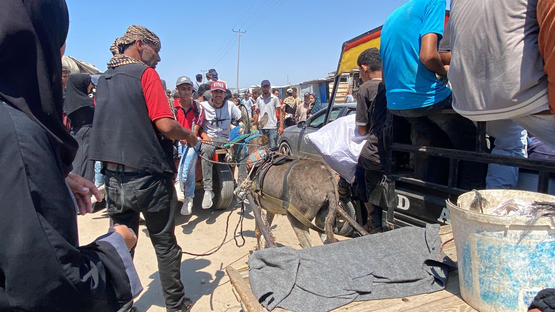 تحت غطاء الرفق بالحيوان... إسرائيل تصادر آخر وسيلة لإسعاف المرضى في غزة تحت غطاء الرفق بالحيوان... إسرائيل تصادر آخر وسيلة لإسعاف المرضى في غزة - سبوتنيك عربي, 1920, 30.07.2025