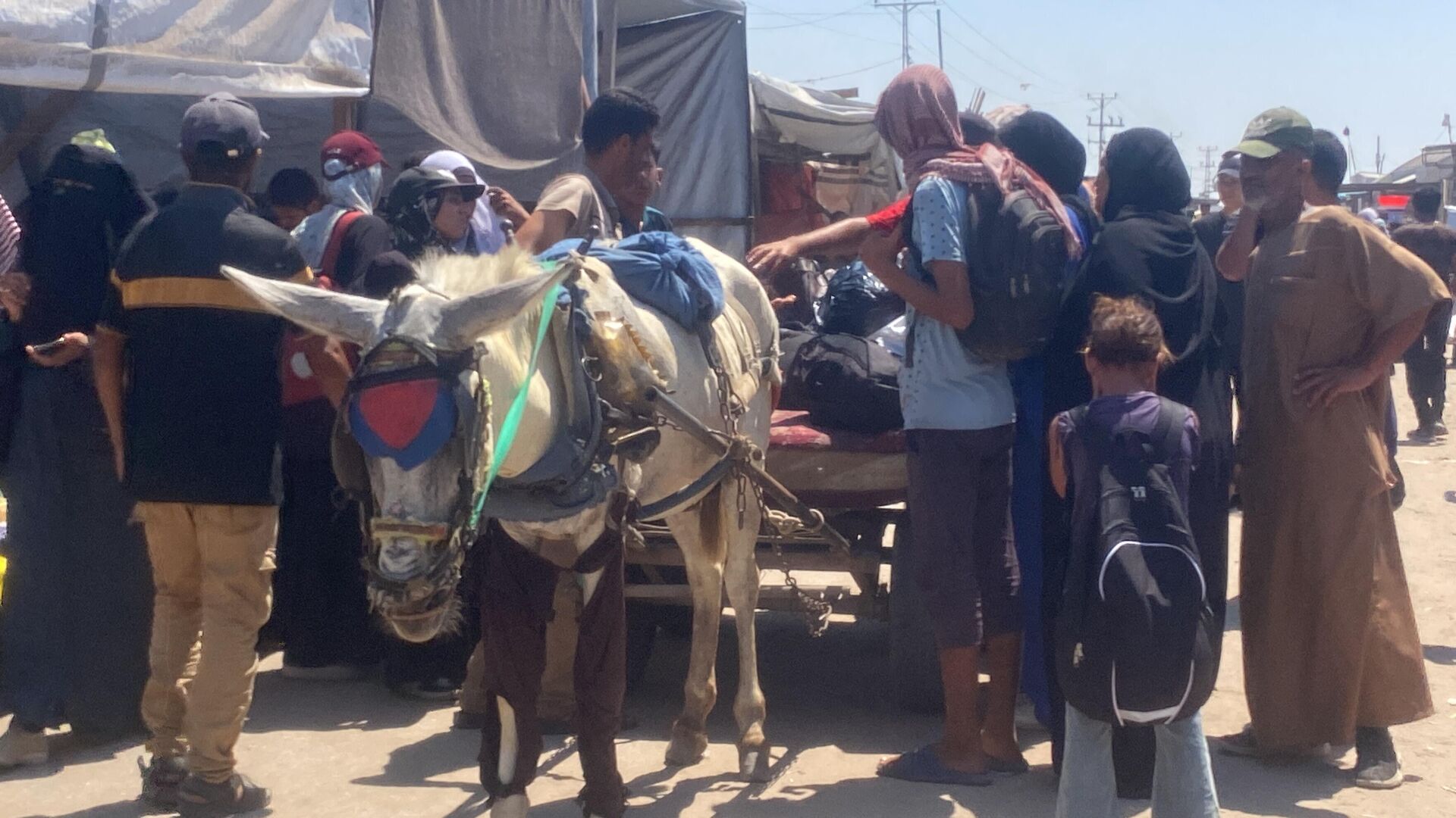 تحت غطاء الرفق بالحيوان... إسرائيل تصادر آخر وسيلة لإسعاف المرضى في غزة تحت غطاء الرفق بالحيوان... إسرائيل تصادر آخر وسيلة لإسعاف المرضى في غزة - سبوتنيك عربي, 1920, 30.07.2025