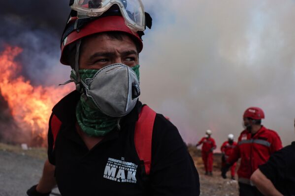 تركيا...عمال إطفاء يخمدون حرائق الغابات بمنطقة أورهانيلي في بورصة - سبوتنيك عربي