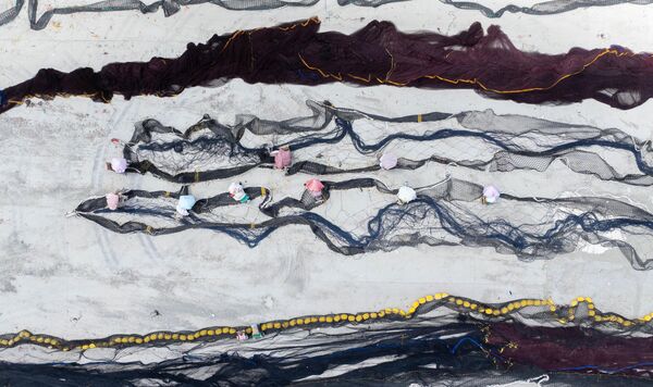 منظر جوي لعمال يقومون بإصلاح شبكات الصيد في الصين - سبوتنيك عربي