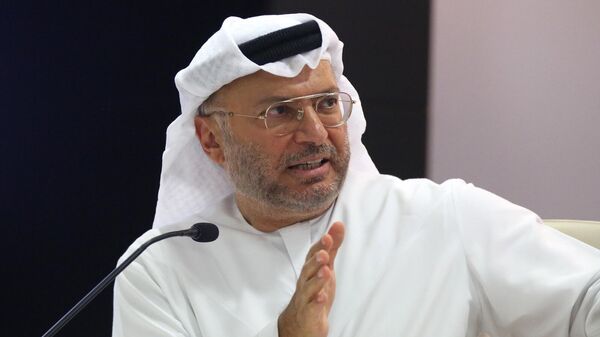 المستشار الدبلوماسي لرئيس الإمارات، أنور قرقاش - سبوتنيك عربي