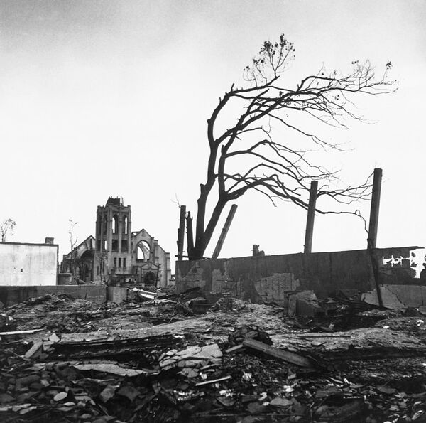 شجرة عارية من الأوراق تقف وسط الأنقاض وأطلال المباني بعد الانفجار النووي في هيروشيما - سبوتنيك عربي