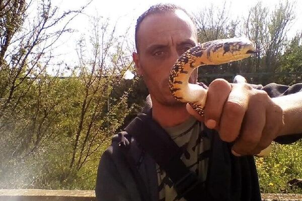 بشير البجاوي.. التونسي الذي روض الكوبرا - سبوتنيك عربي