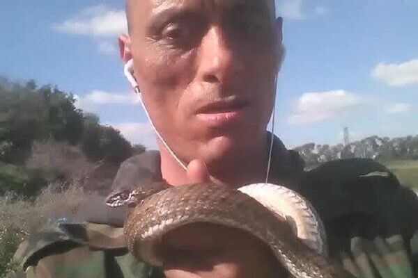 بشير البجاوي.. التونسي الذي روض الكوبرا - سبوتنيك عربي