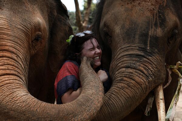 لقطة طريفة لسائحة مع فيلين في قرية بشيانغ ماي، تايلاند. - سبوتنيك عربي