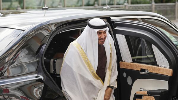 لقاء بين الرئيس الروسي فلاديمير بوتين ورئيس الإمارات العربية المتحدة محمد بن زايد آل نهيان - سبوتنيك عربي