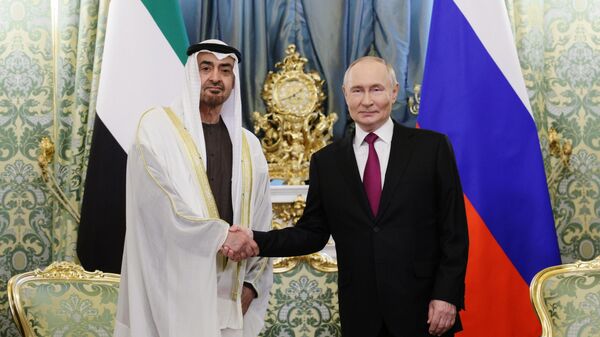 لقاء بين الرئيس الروسي فلاديمير بوتين ورئيس الإمارات العربية المتحدة محمد بن زايد آل نهيان - سبوتنيك عربي