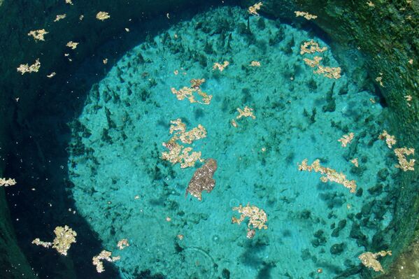 بركة كليوباترا (حمام كليوباترا أو نبع كليوباترا) هي واحدة من بين العديد من البرك في المنطقة، وتقع على الطريق المؤدي إلى معبد أوراكل. - سبوتنيك عربي