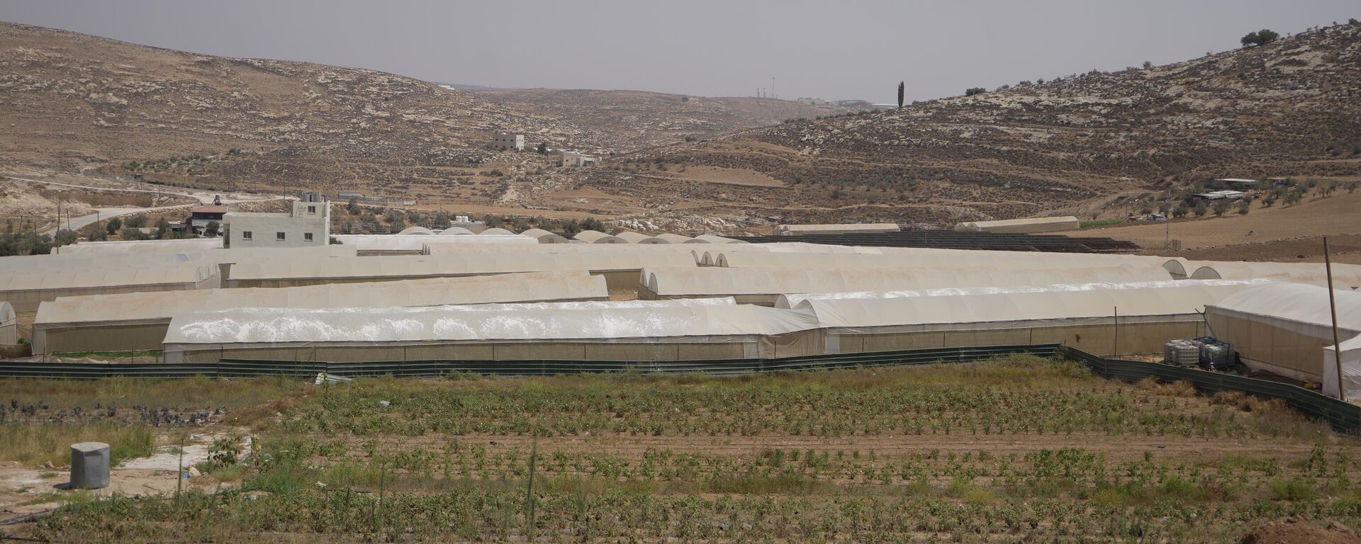 تدمير الآبار والينابيع وتعطيش السكان جنوبي الضفة الغربية   - سبوتنيك عربي, 1920, 02.09.2025