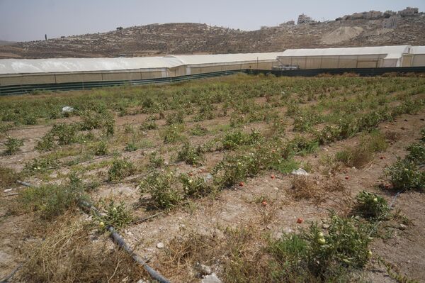 تدمير الآبار والينابيع وتعطيش السكان جنوبي الضفة الغربية   - سبوتنيك عربي