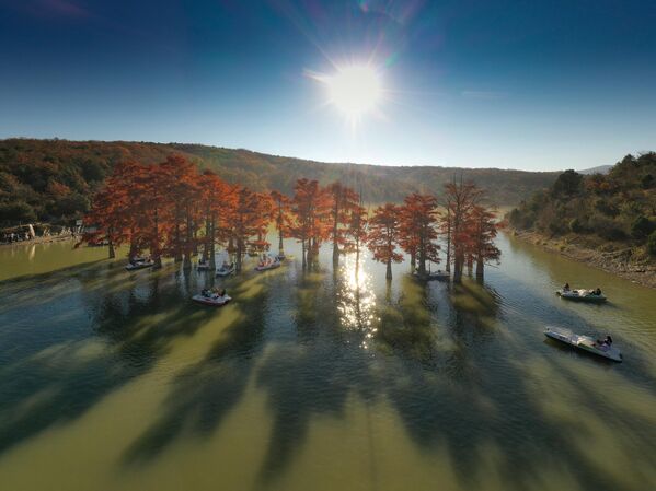 بحيرة السرو في إقليم كراسنودار. - سبوتنيك عربي