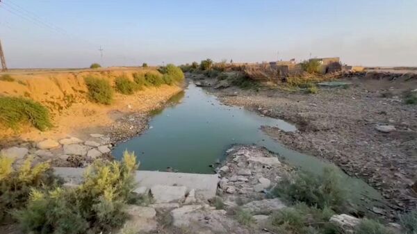 الجفاف يهدد حضارة عمرها آلاف السنين في أهوار العراق - سبوتنيك عربي