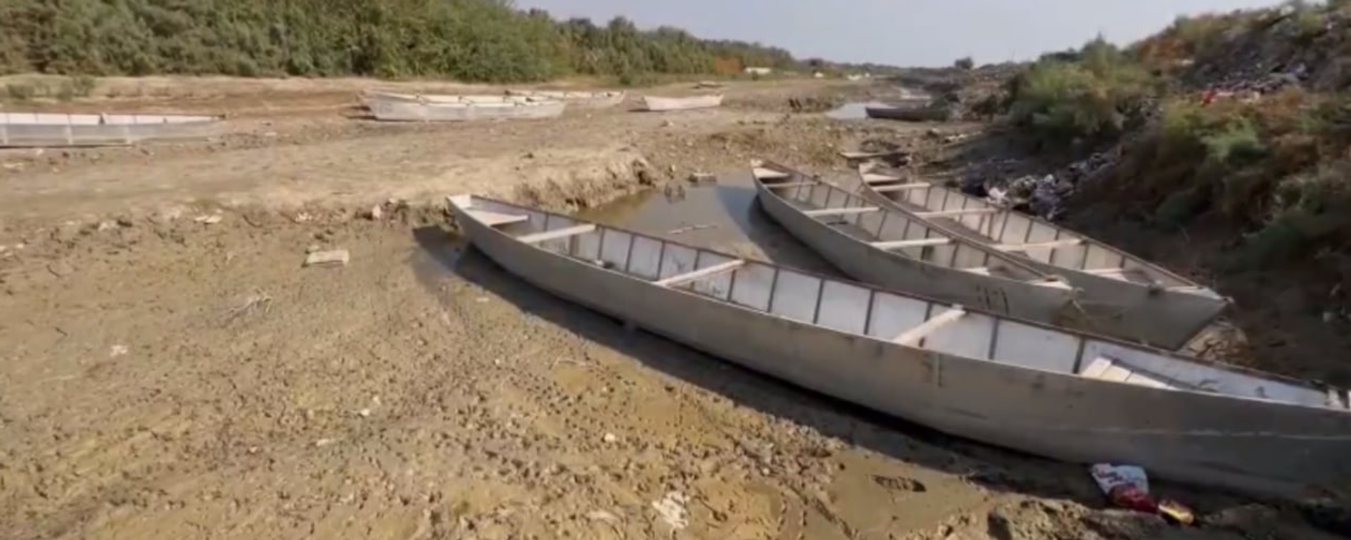 الأهوار العراق - سبوتنيك عربي, 1920, 14.08.2025