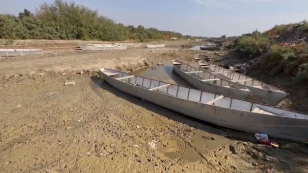 الأهوار العراق - سبوتنيك عربي