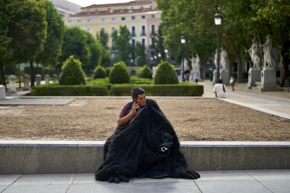 رجل يرتدي زي غوريلا يأخذ استراحة في أحد شوارع في مدريد، إسبانيا. - سبوتنيك عربي