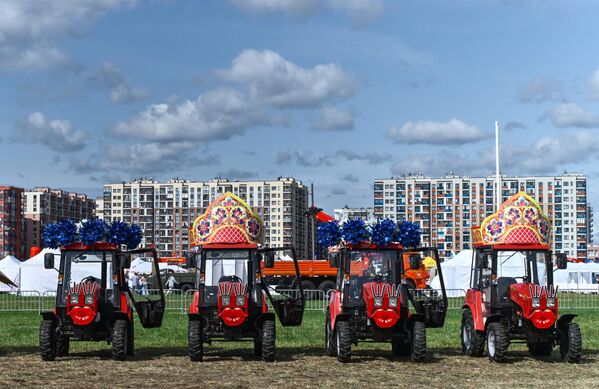 بطولة روسيا المفتوحة الثانية عشرة للحرث في منطقة فسيفولوجسك في مقاطعة لينينغراد. - سبوتنيك عربي