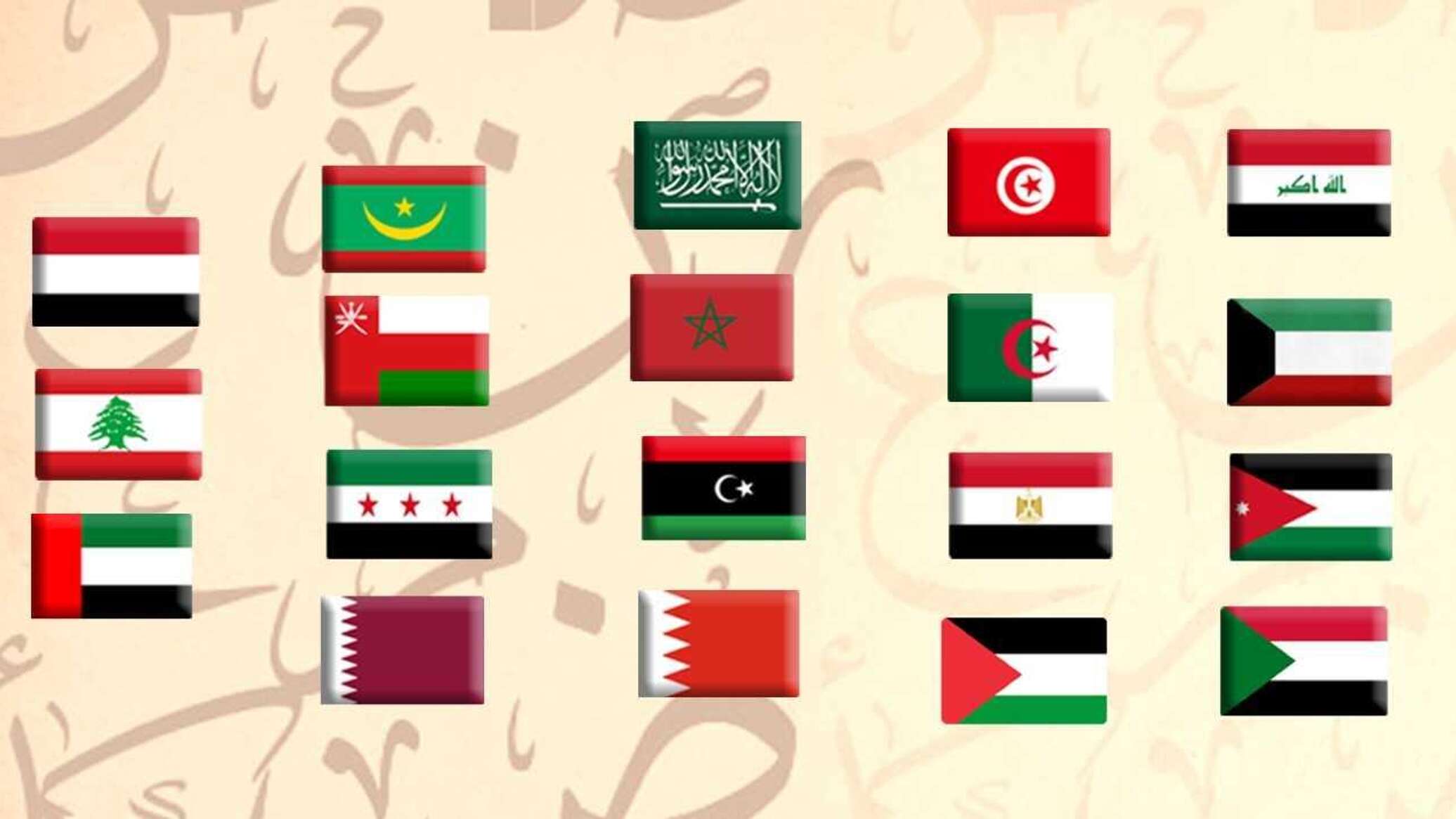 من الأول؟ ترتيب الدول في مؤشر سلامة اللغة العربية