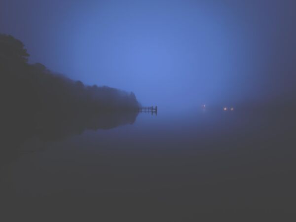 الصورة الفائزة بالمركز الثالث، صباح ضبابي في فيرجينيا، الولايات المتحدة. - سبوتنيك عربي