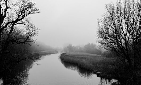 مناظر طبيعية لنهر ترافي، ألمانيا. - سبوتنيك عربي