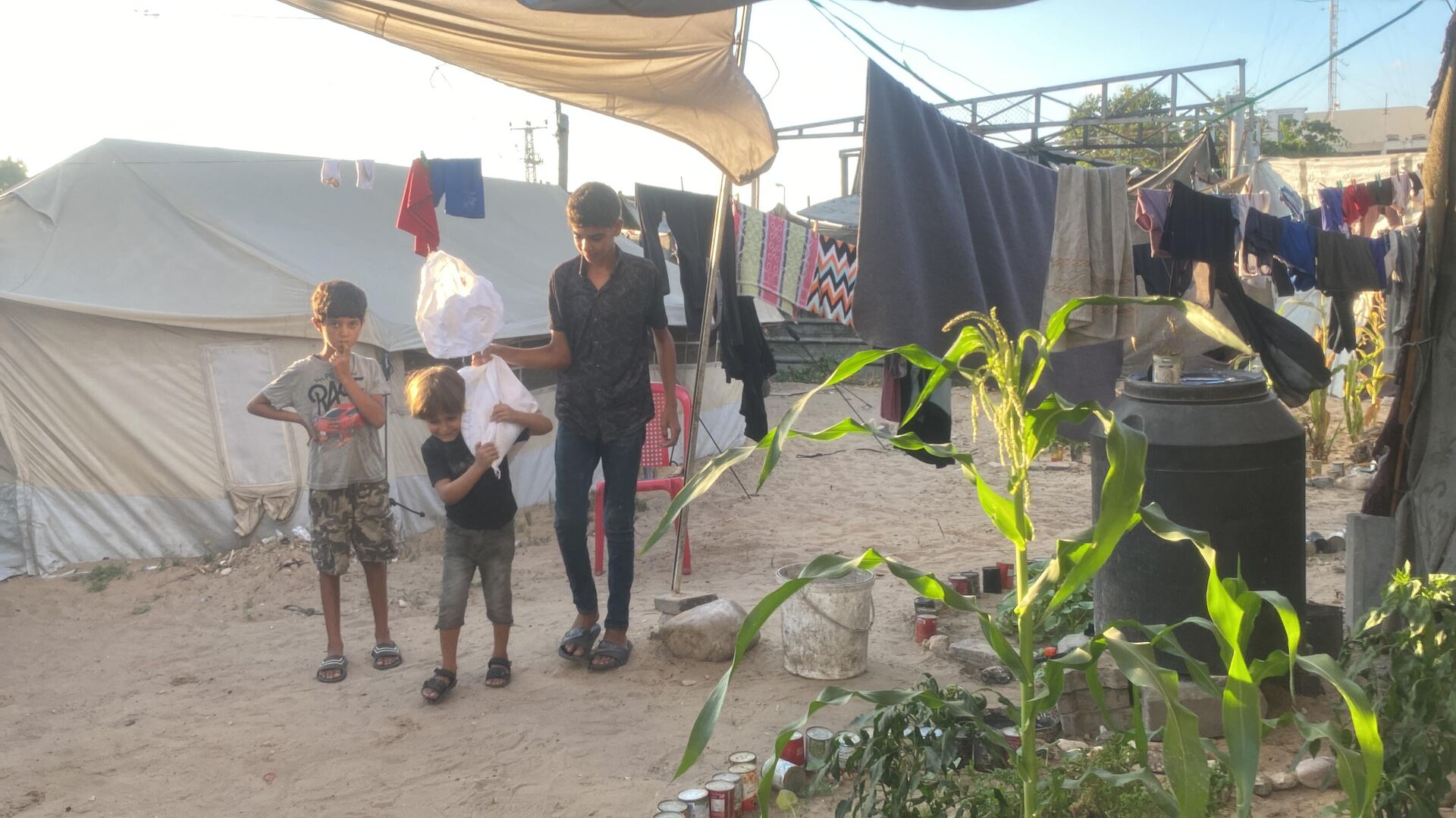 أطفال غزة يتحملون العمل الشاق في ظل التجويع والحرب   - سبوتنيك عربي, 1920, 18.08.2025