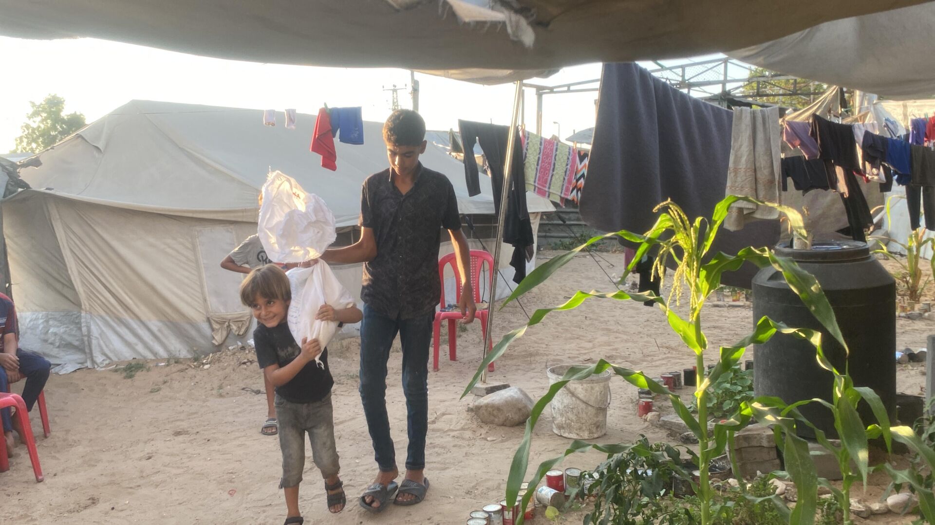 أطفال غزة يتحملون العمل الشاق في ظل التجويع والحرب   - سبوتنيك عربي, 1920, 18.08.2025