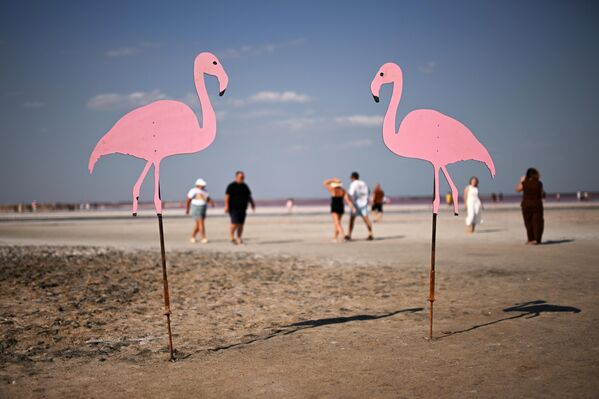 شاطئ بحيرة "ساسيك-سيفاش" بالقرب من مدينة يفباتوريا، شبه جزيرة القرم. - سبوتنيك عربي