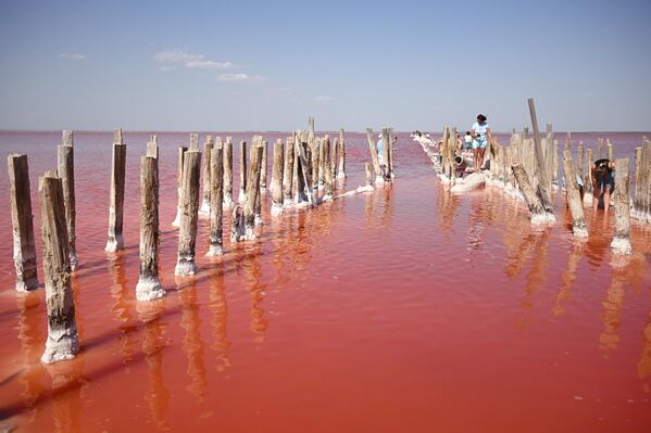 بلون التوت الغامق تتلألأ بحيرة ساسيك سيفاش.  - سبوتنيك عربي