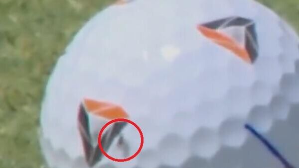 لاعب غولف يحصد 900 ألف دولار بفضل ذبابة  - سبوتنيك عربي