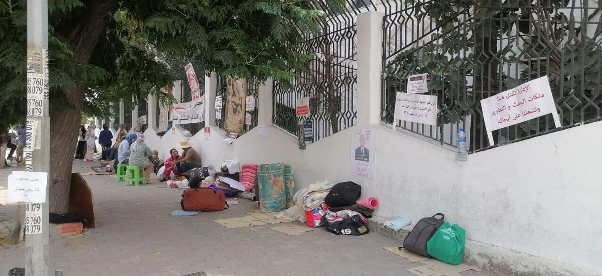 تونس: خريجو شهادة الدكتوراه العاطلون عن العمل  - سبوتنيك عربي, 1920, 21.08.2025