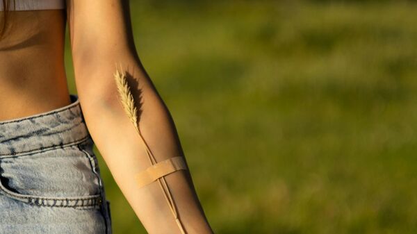 الأوردة - سبوتنيك عربي