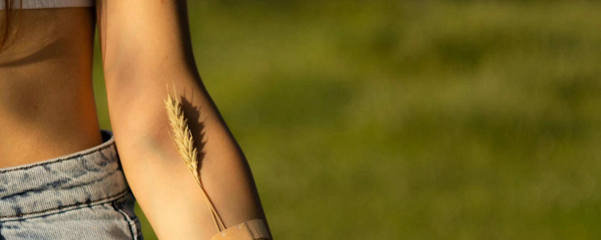 الأوردة - سبوتنيك عربي, 1920, 23.08.2025