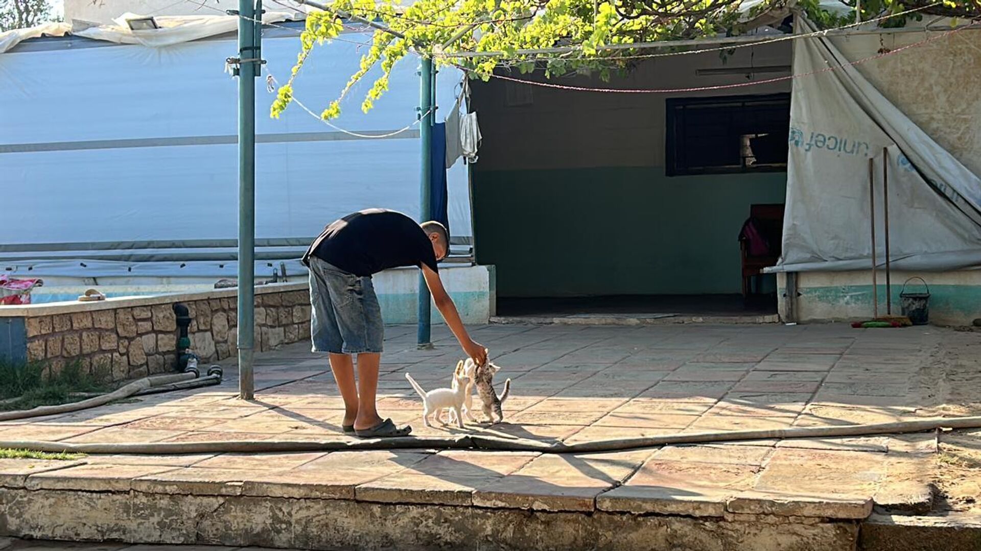 النازحون في قطاع غزة  يتقاسمون الطعام مع حيواناتهم - سبوتنيك عربي, 1920, 26.08.2025