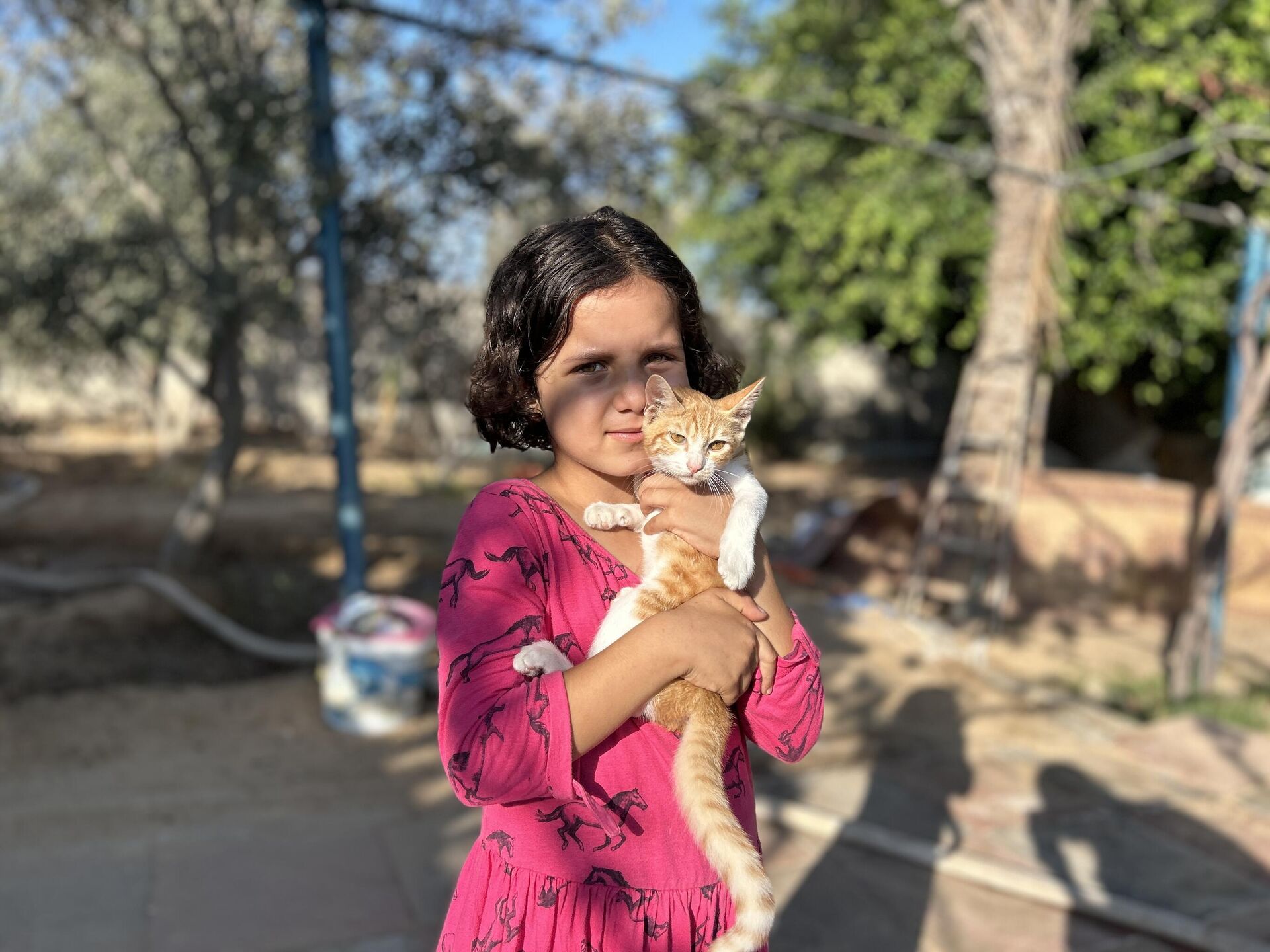 النازحون في قطاع غزة  يتقاسمون الطعام مع حيواناتهم - سبوتنيك عربي, 1920, 26.08.2025