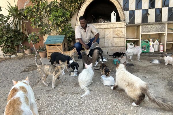 النازحون في قطاع غزة  يتقاسمون الطعام مع حيواناتهم - سبوتنيك عربي