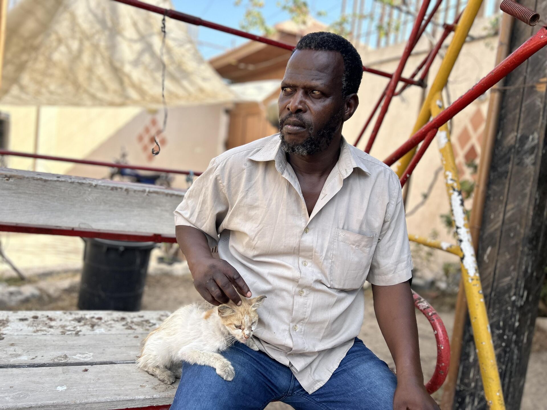 النازحون في قطاع غزة  يتقاسمون الطعام مع حيواناتهم - سبوتنيك عربي, 1920, 26.08.2025